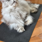 Yoga Pet Mat