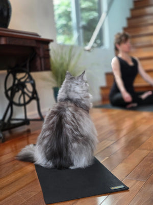 Yoga Pet Mat